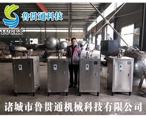 電蒸汽鍋爐 各種型號現(xiàn)貨供應(yīng)，型號不同，功率不同，可適用于多種行業(yè)，歡迎來單咨詢