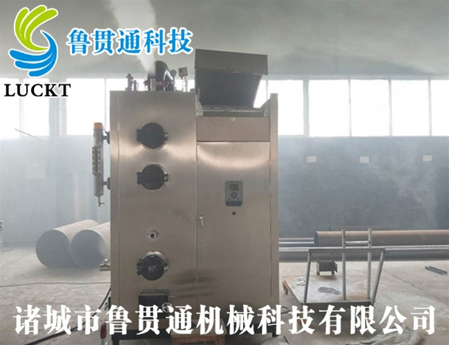 生物質蒸汽發(fā)生器