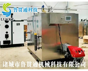 1噸燃氣（油）蒸汽發(fā)生器 現(xiàn)貨供應(yīng)，工廠直銷，規(guī)格型號眾多，可來電咨詢