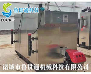 燃氣（油）蒸汽發(fā)生器 現(xiàn)貨供應(yīng)，工廠直銷，規(guī)格型號眾多，可來電咨詢