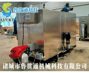 1噸燃氣（油）蒸汽發(fā)生器 現(xiàn)貨供應(yīng)，工廠直銷，規(guī)格型號眾多，可來電咨詢